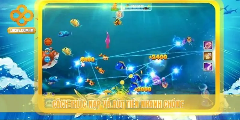 Cách thức nạp và rút tiền nhanh chóng