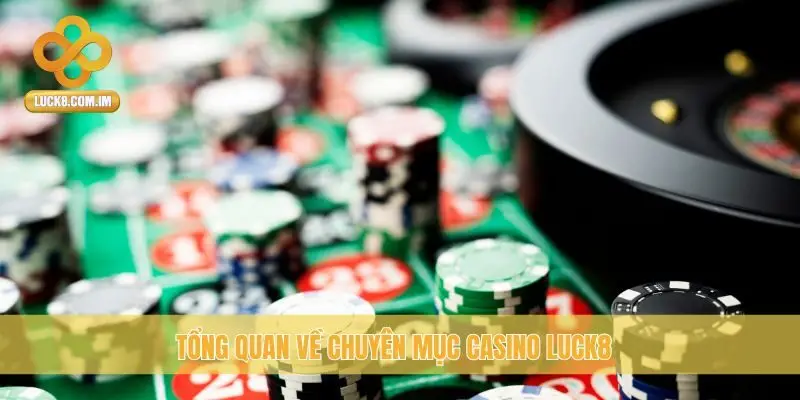 Tổng quan về chuyên mục casino Luck8