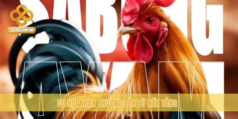 Cơ hội nhận thưởng lớn từ nền tảng