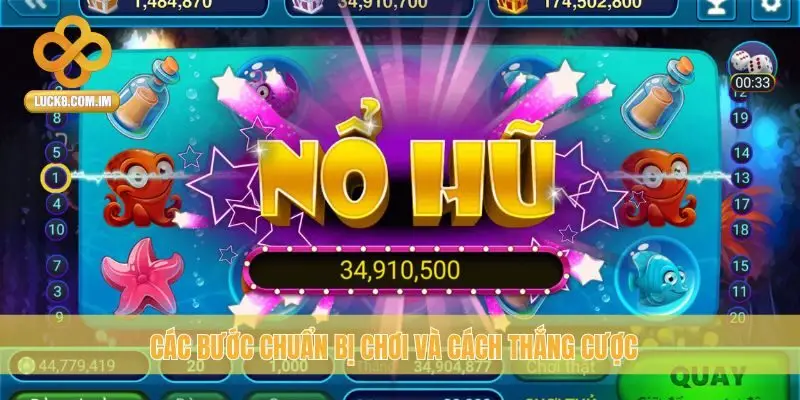 Các bước chuẩn bị chơi và cách thắng cược